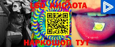 прущие грибы Кулебаки