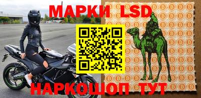 прущие грибы Кулебаки