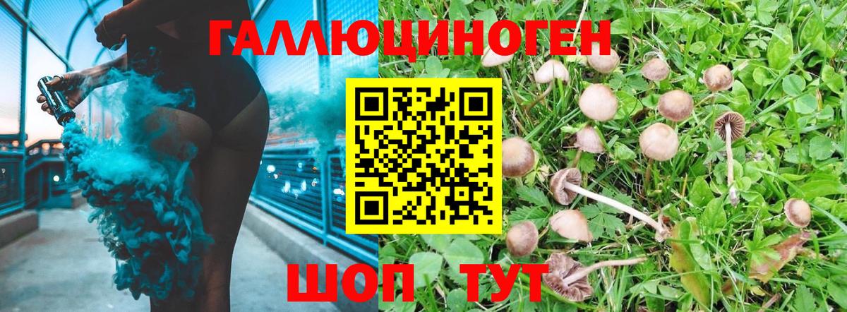 Галлюциногенные грибы мухоморы Каменск-Шахтинский