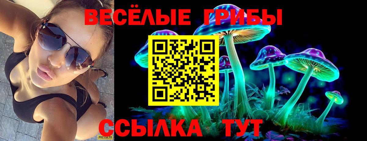 хочу   Вход с VPN  Каменск-Шахтинский  Псилоцибиновые грибы Psilocybe 